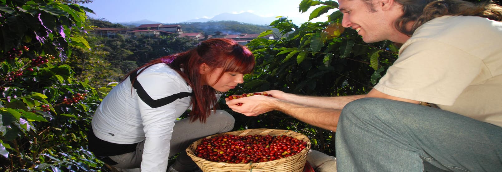 RUTA DEL CAFE EN CHIAPAS